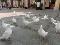 -王府井奥莱临潼小镇(临潼店)