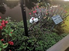 -厦门悦华酒店·绿庭主题自助餐厅