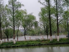 -洋湖国家湿地公园