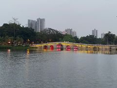 -荔湾湖公园