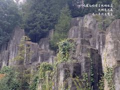-长虫山生态公园风景林