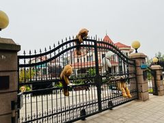 -八大关景区