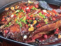 -洞庭家宴·头牌甲鱼(广渠门店)