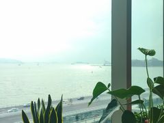 -龙景攀岩(海峡世茂广场店)