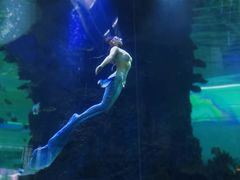 -凤凰轩·尾牙宴·生日宴(十里银滩店)