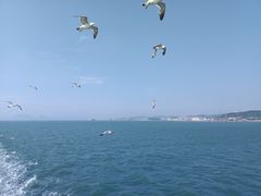 -海驴岛(荣成市)