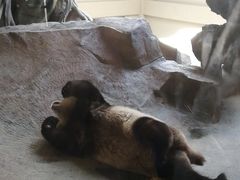 -宁波野生动物园