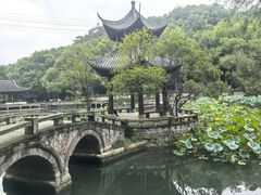 -忠山公园