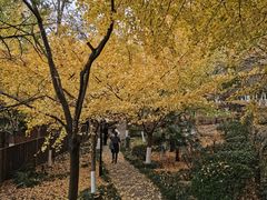 -白马涧龙池景区
