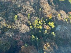 -泰山风景名胜区