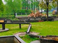 -前小桔亲子创意农场·草莓采摘·露营烧烤