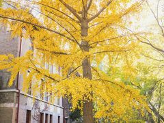 -山东大学(趵突泉校区)
