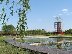 -永定河休闲森林公园