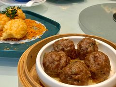 腐皮蒸牛肉丸-千灯盛汇·头牌粤菜(致越优城店)