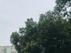 -南京市玄武中等专业学校