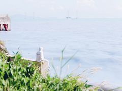 -宝安西湾红树林湿地公园