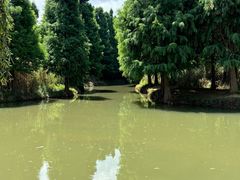-捞渔河湿地公园