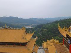 -东莞市大岭山森林公园