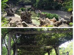 -叶家花园