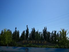 -永定河休闲森林公园