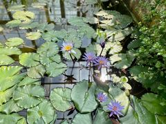 -国家植物园南园