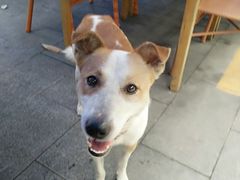 -兴福老面馆(寺路街店)