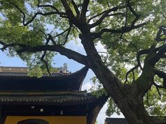 -西园戒幢律寺