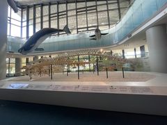 -中国（海南）南海博物馆