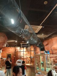 -Zoolung Zoolung动物主题公园(海信广场店)