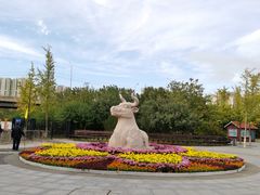 -永定河休闲森林公园