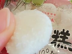 -沈大成(城隍庙店)