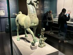 -广西壮族自治区博物馆