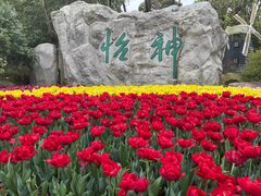 -上海鲜花港