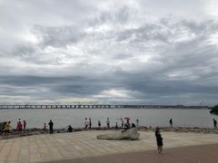 -宝安西湾红树林湿地公园