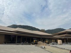 -千年银杏谷文化旅游区