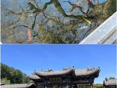-晋祠公园