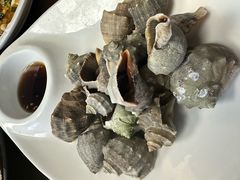 -鲁前海沿儿
