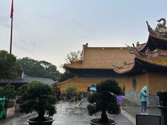 -枣子树·素食餐厅(普陀山店)