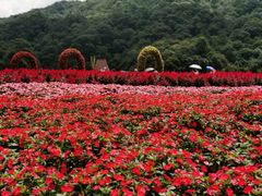 -广州市石门国家森林公园