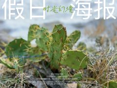 -莺歌海盐场