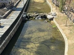 -白水寺森林公园