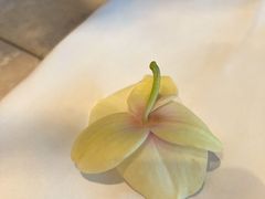 -广州四季酒店·意珍·意式自助餐