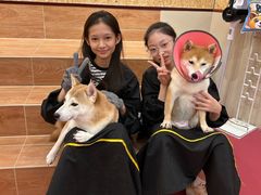 -和它·交个朋友·狗咖猫咖(爱琴海店)