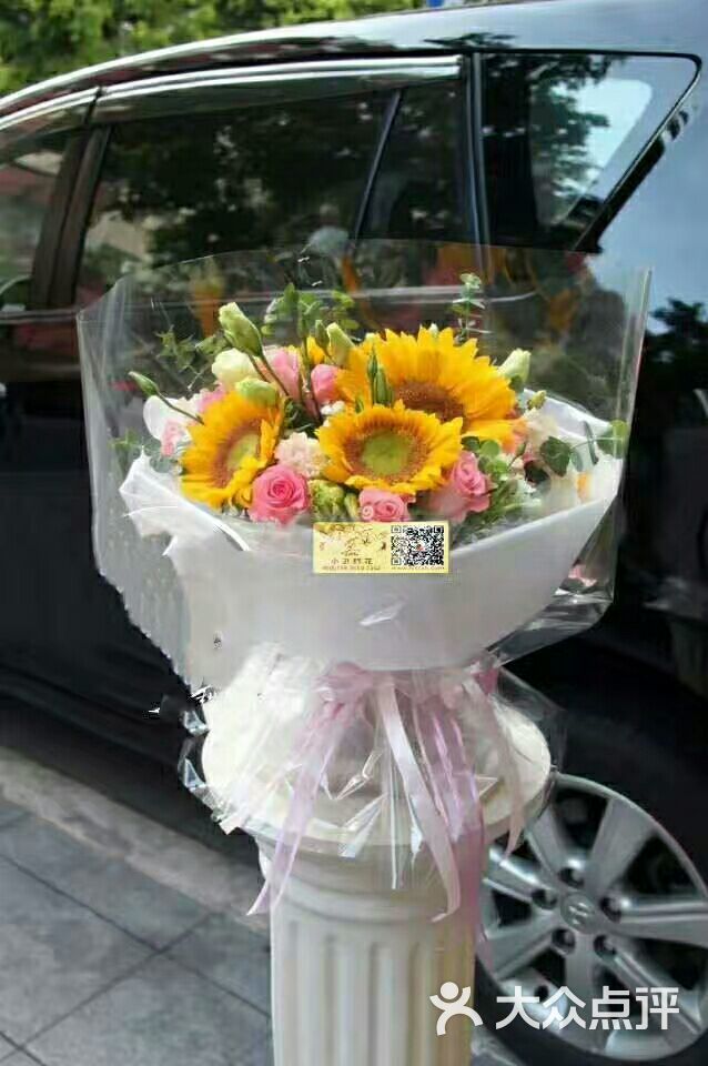 花衣裳图片 - 第1张