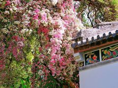 -深圳国际园林花卉博览园