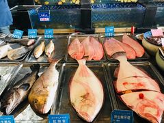 -浩运·海鲜青岛菜·海胆水饺(石老人店)