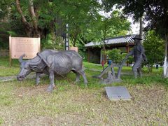 -广州神农草堂中医药博物馆