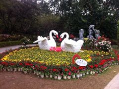 iphone_upload_pic-人民公园(罗湖区)