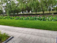 图书馆-东南大学(九龙湖校区)