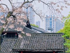 -运河游船(武林门码头)